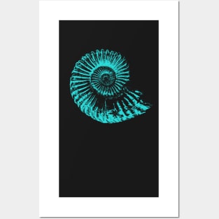 Fossil collector gifts, paleontologists fossil Ammonite Posters and Art